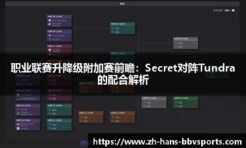 职业联赛升降级附加赛前瞻：Secret对阵Tundra的配合解析